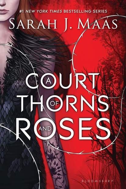 A court of thorns and roses - an erotic book